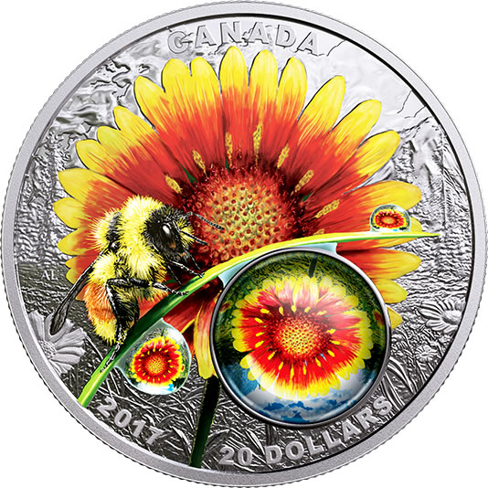 RCM-New-Release:-2017-1-Oz-Silver-Coloured-Coin-Mother-Nature's-Magnification:-Beauty-Under-The-Sun