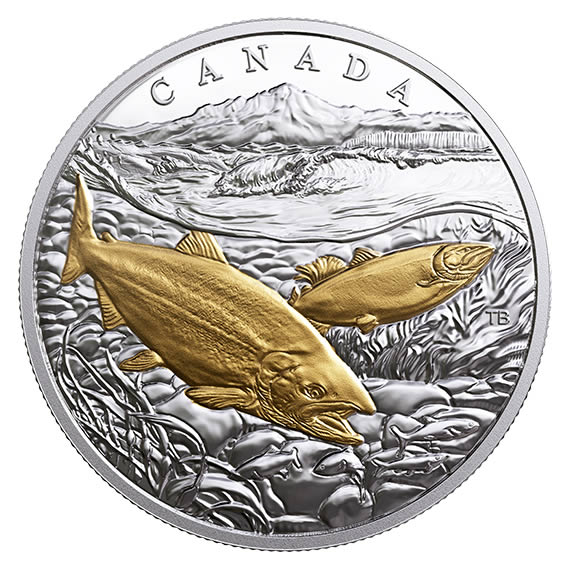 RCM-New-Release:-2018-1-Oz.-Pure-Silver-Gold-Plated-Coin---From-Sea-To-Sea-To-Sea:-Pacific-Salmon