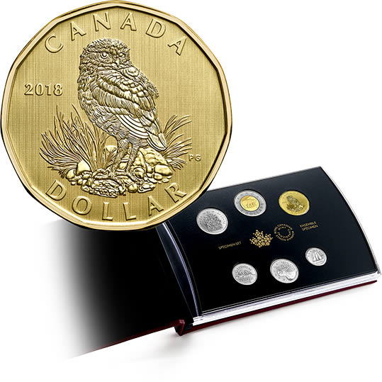 RCM-New-Release:-2018-6-Coin-Specimen-Set---Burrowing-Owl