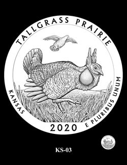 Images-For-The-2020-America-The-Beautiful-Tallgrass-Prairie-National-Preserve-Kansas-Quarter