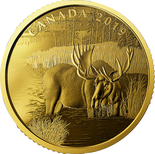 RCM-New-Release:-2019--1-Oz.-99.999%-Pure-Gold-Coin---Canadian-Moose