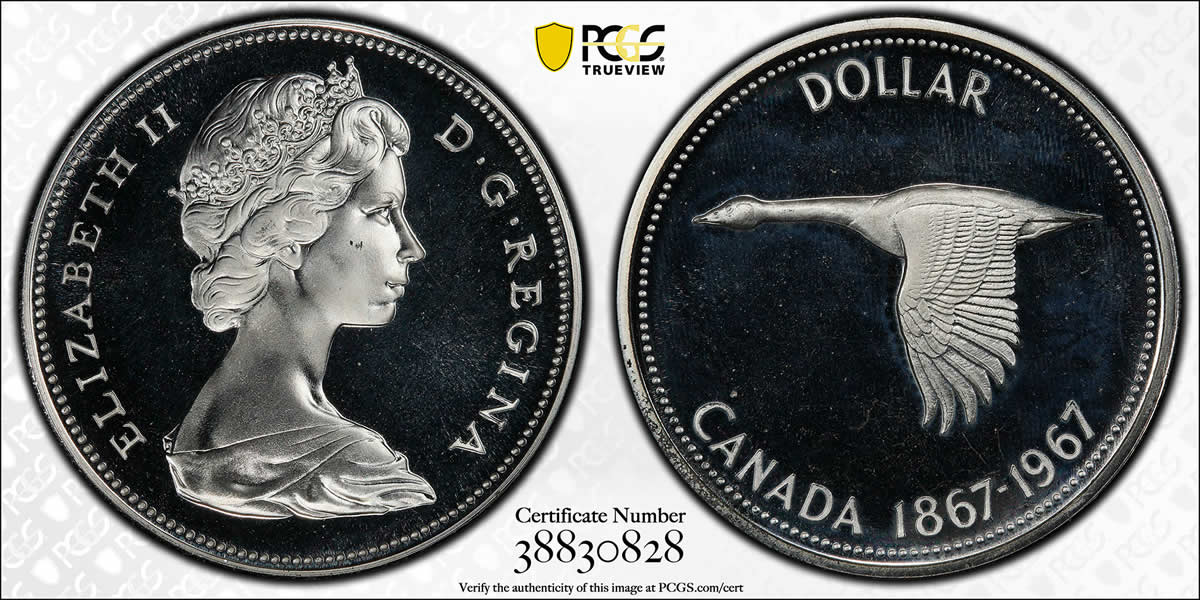 The-1967-Canadian-Goose-Dollar