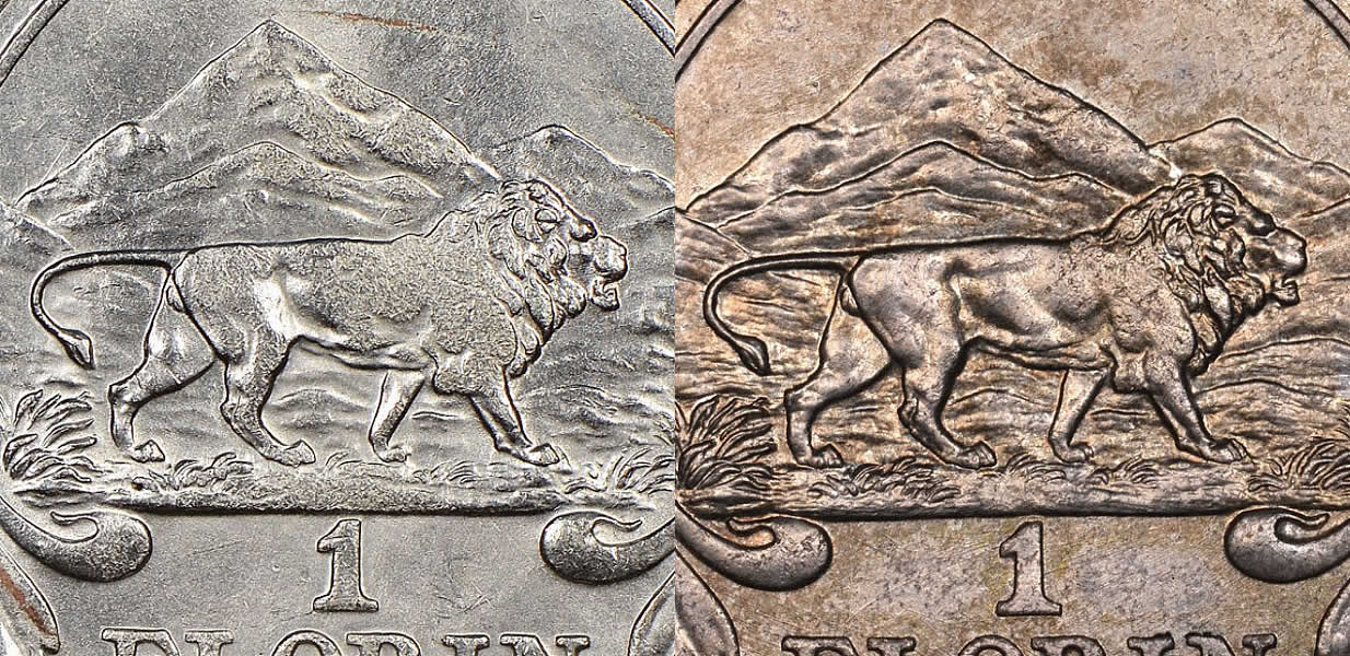 Counterfeit-Detection:-1920-East-African-Florin
