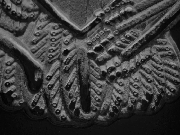 Counterfeit-Detection:-2020-W-V75-Privy-American-Silver-Eagle
