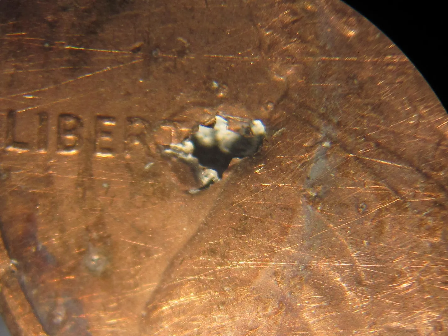 1988-Lincoln-Cent---Now-Thats-Zinc-Rot