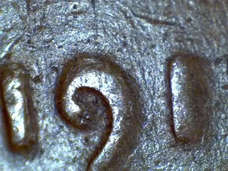 I-Think-I-Just-Found-A-1917-Lincoln-Wheat-Cent-DDO
