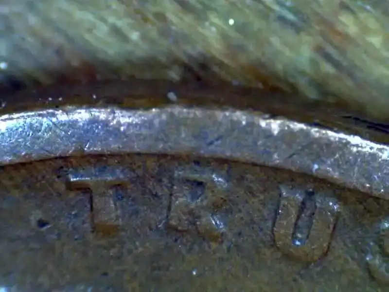 I-Think-I-Just-Found-A-1917-Lincoln-Wheat-Cent-DDO