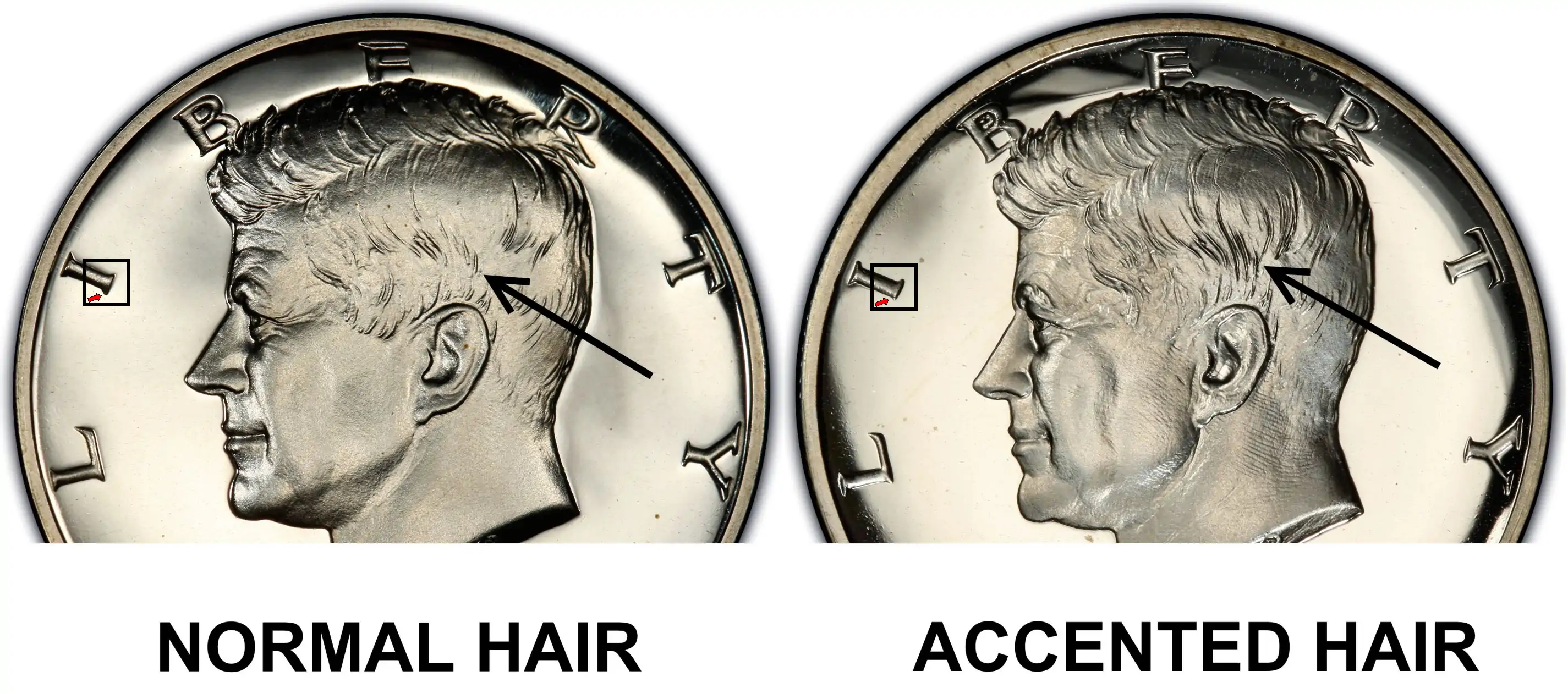 1964 Kennedy Half Dollar 1964 Kennedy Half Dollar Proof with Accented Hair Comparison 1964 Kennedy Half Dollar 1964 Kennedy Half Dollar Proof with Accented Hair Comparison
