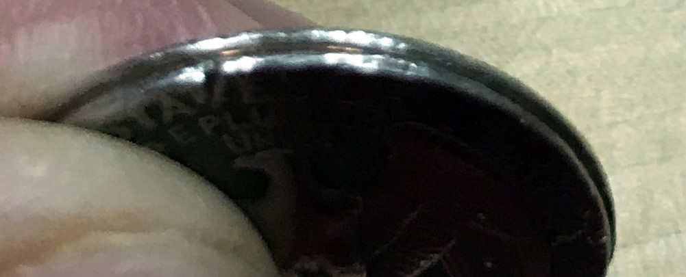 Was-An-Insect-Squished-Inside-This-Dime-When-Is-Was-Struck?-1984-P