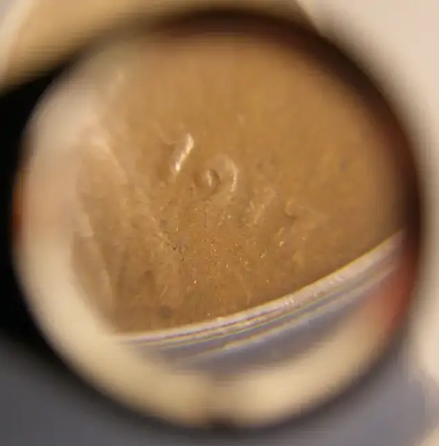 1917-Lincoln-Wheat-Cent-DDO-FS-101-ANACS-G4