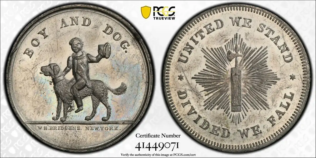 Dogs-On-Tokens-And-Coins