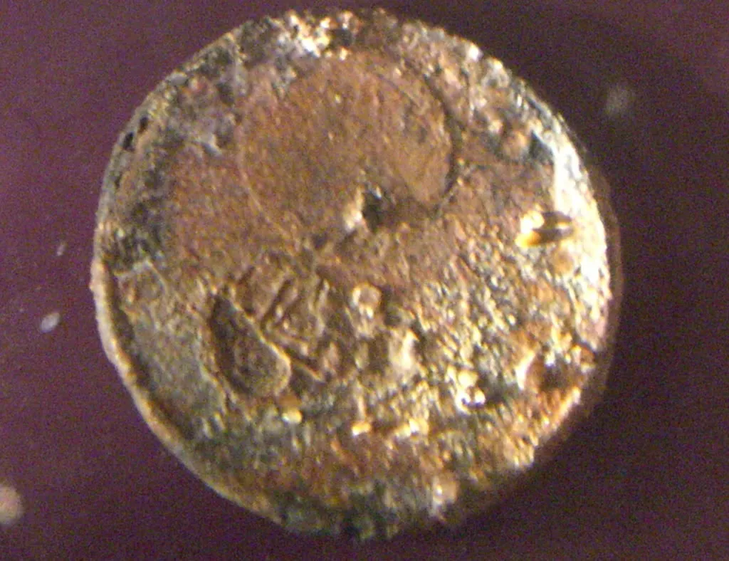 Can-You-ID-This-Id:-Likely-1818-Jola-1/2-Reale