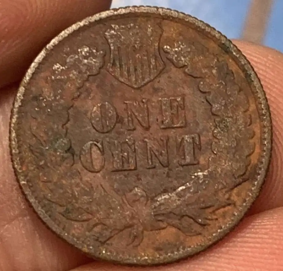 1902-Indian-Head-Cent-With-Reeds