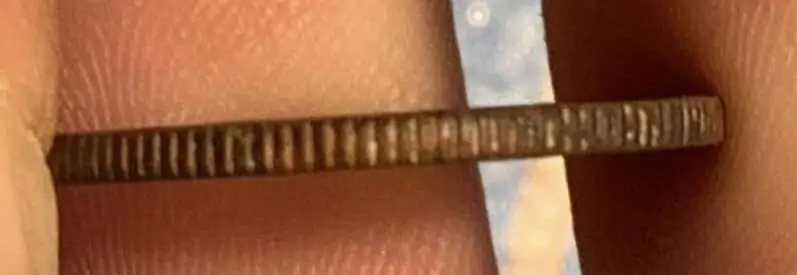 1902-Indian-Head-Cent-With-Reeds