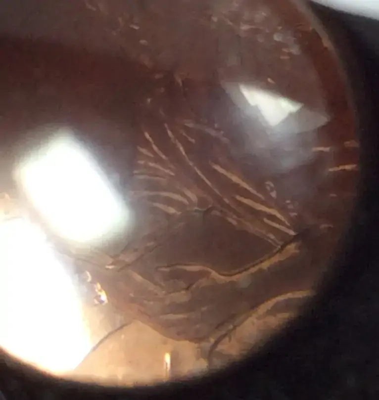 2009-Lincoln-Cent,-Is-This-A-Variety?