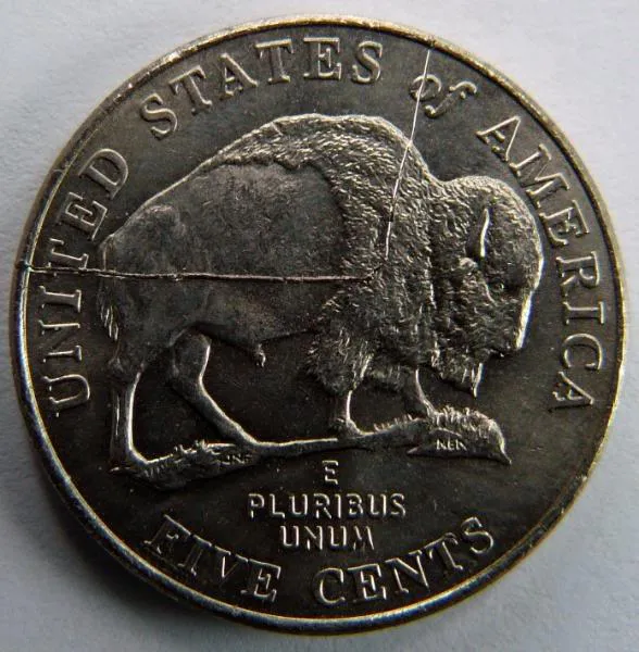 2005-P-Bison-Error-Like-Speared-Buffalo-*updated-More-Pics
