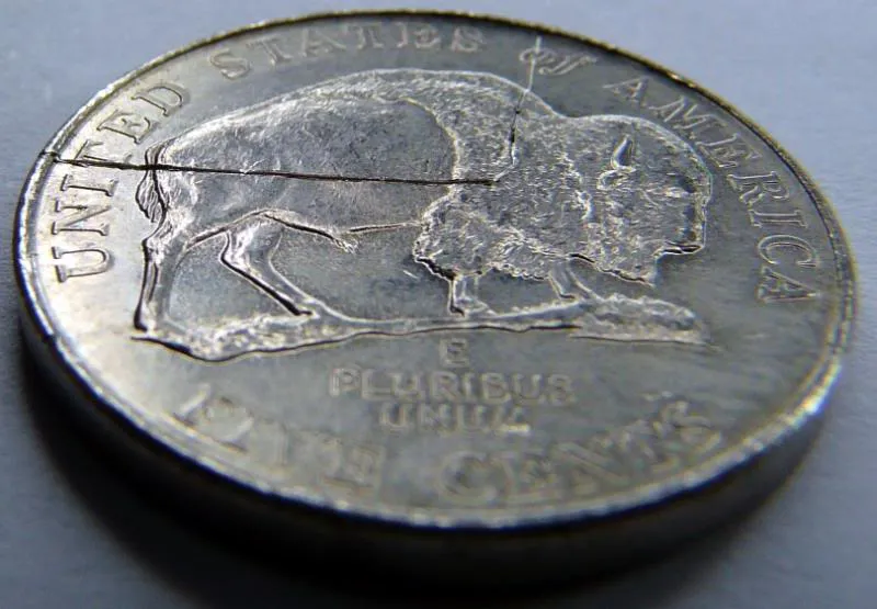 2005-P-Bison-Error-Like-Speared-Buffalo-*updated-More-Pics