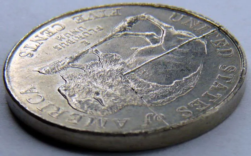 2005-P-Bison-Error-Like-Speared-Buffalo-*updated-More-Pics