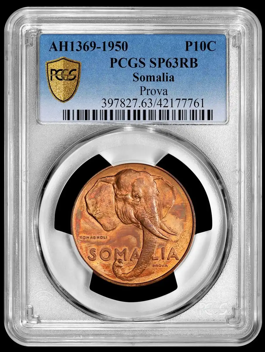 1950-Prova-Somolia-10-Centesimi-PCGS-SP-63RB-Featuring-An-Elephant