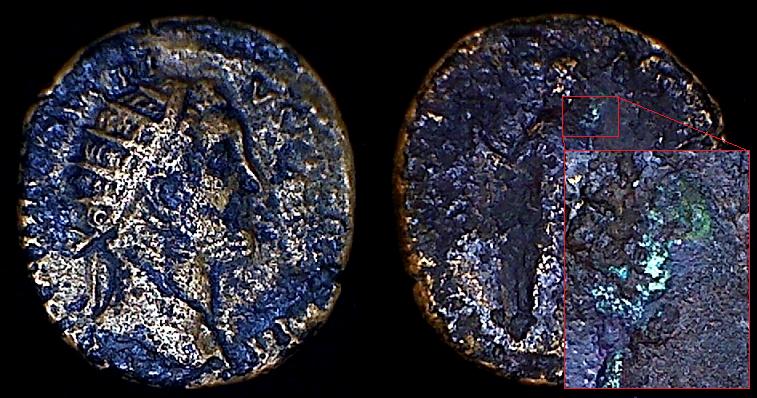 Bronze-Disease-Advice-Needed-Please!
