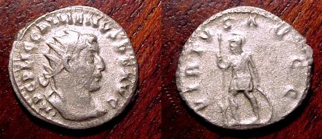 Help-With-Identify....