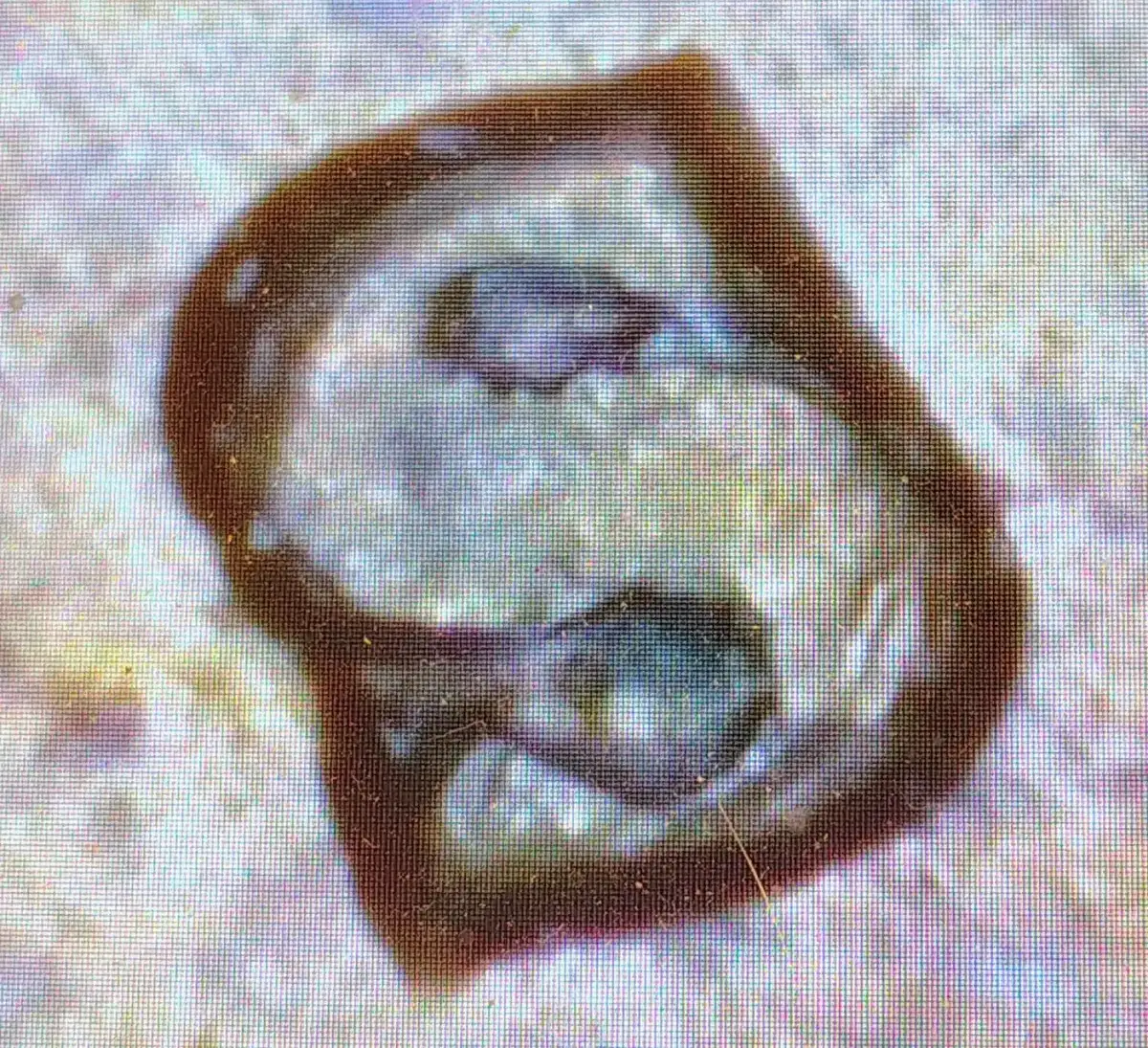 1974-S-Lincoln-Cent-RPMp?