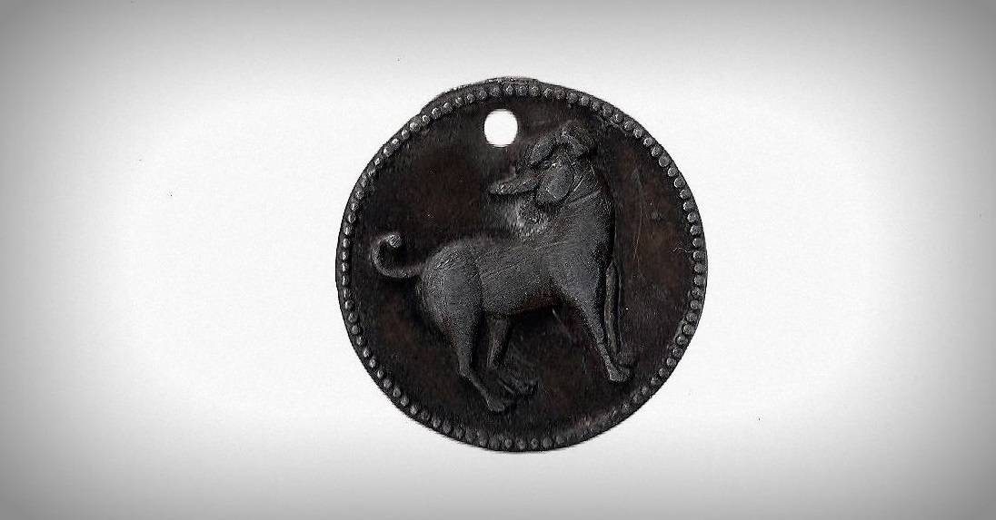 Help-Me-Identify-This-Chinese-Zodiac-Coin-That-Was-Buried-Underground