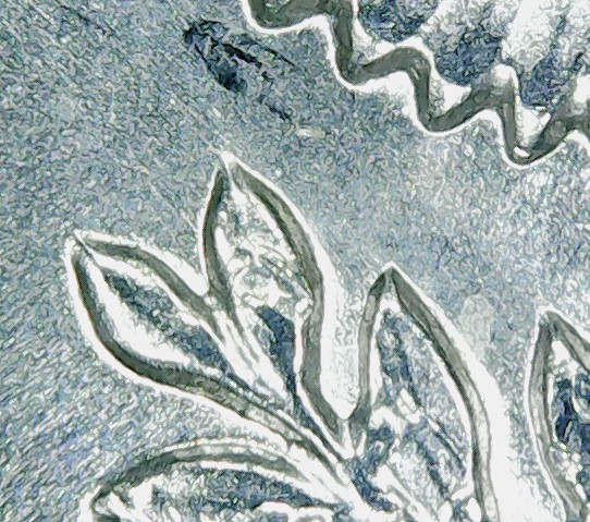 Could-I-Get-An-Opinion-On-A-1964-D-Kennedy-Half-Dollar-DDO