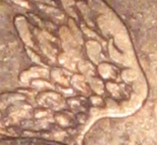 2-More-Bust-Halves