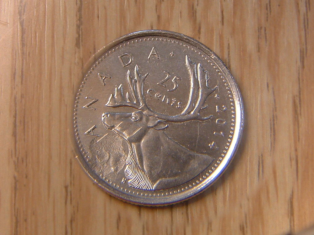 Is-This-2014-Quarter-An-Error?