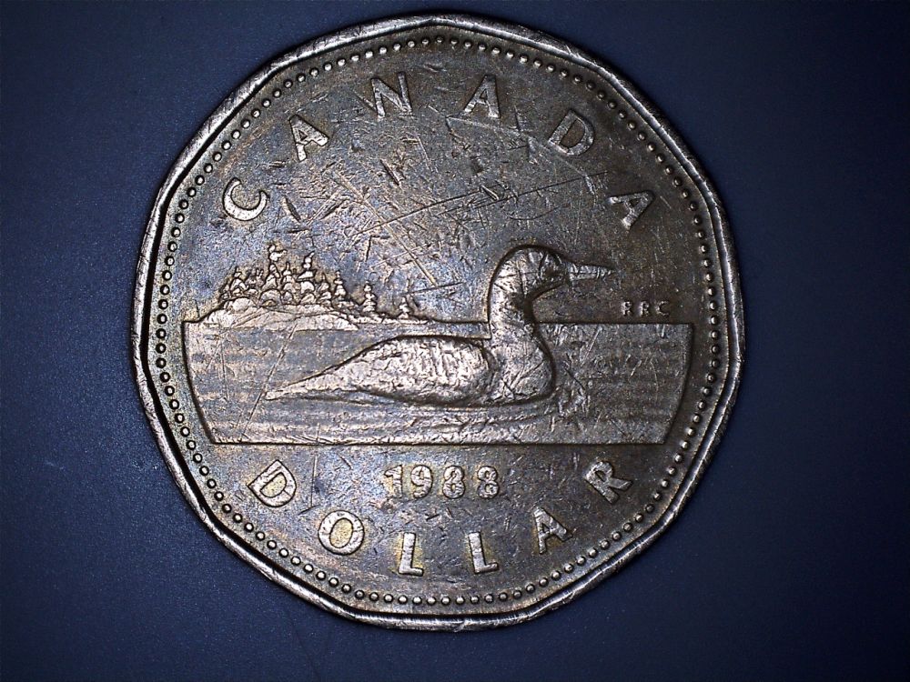 1988-Loonie-Looks-Like-1983