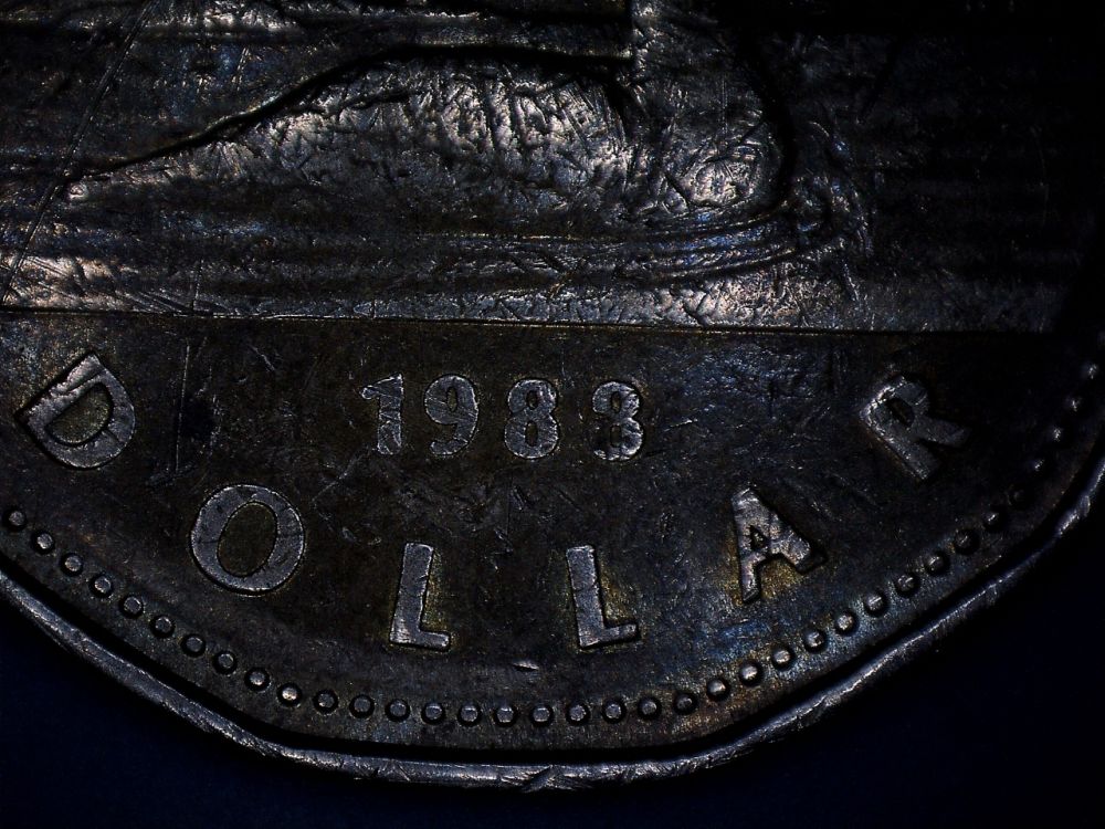 1988-Loonie-Looks-Like-1983