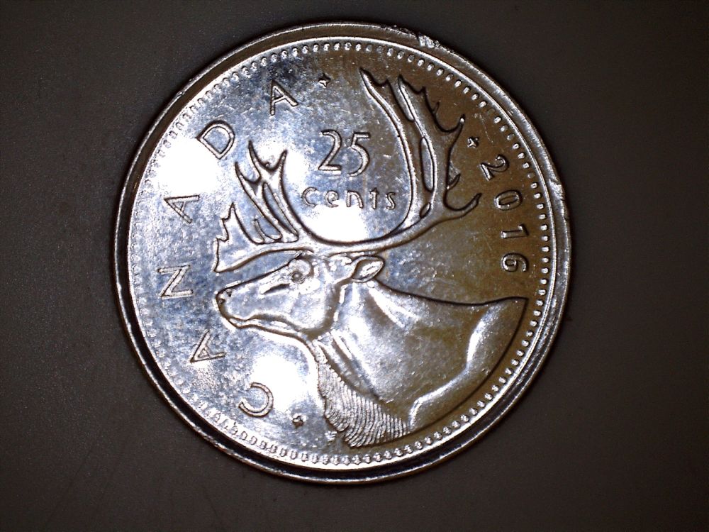 2016--Quarter-PMD-Question
