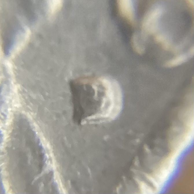 1979-D-Nickel:-Tosser,-Damaged-Punch,-RPM?