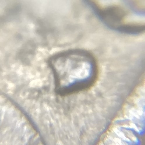 1979-D-Nickel:-Tosser,-Damaged-Punch,-RPM?