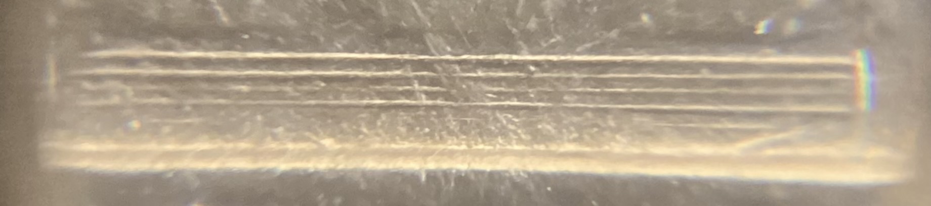1942-Type-1-Jefferson-Nickel-Cupronickel-For-Grading.