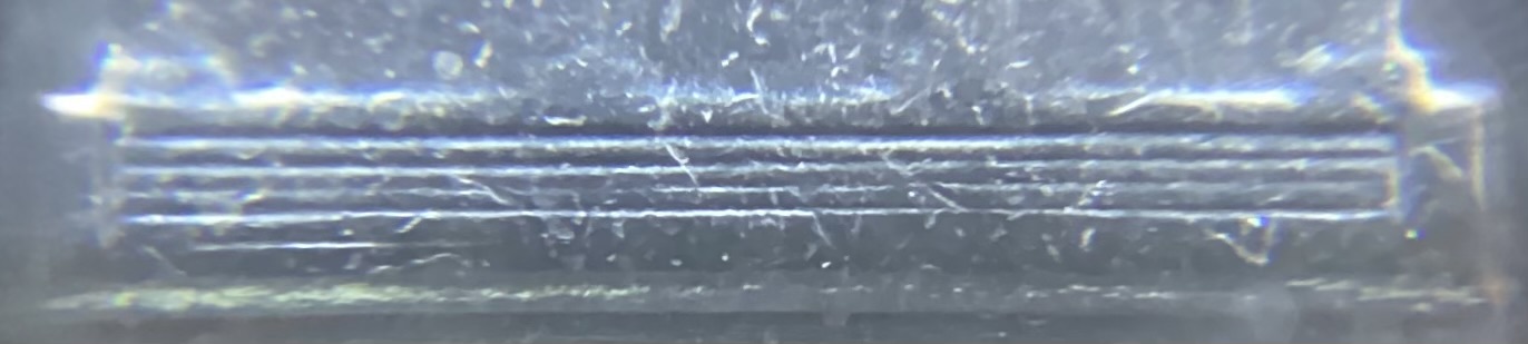 1956-Jefferson-Nickel:-Full-Steps?