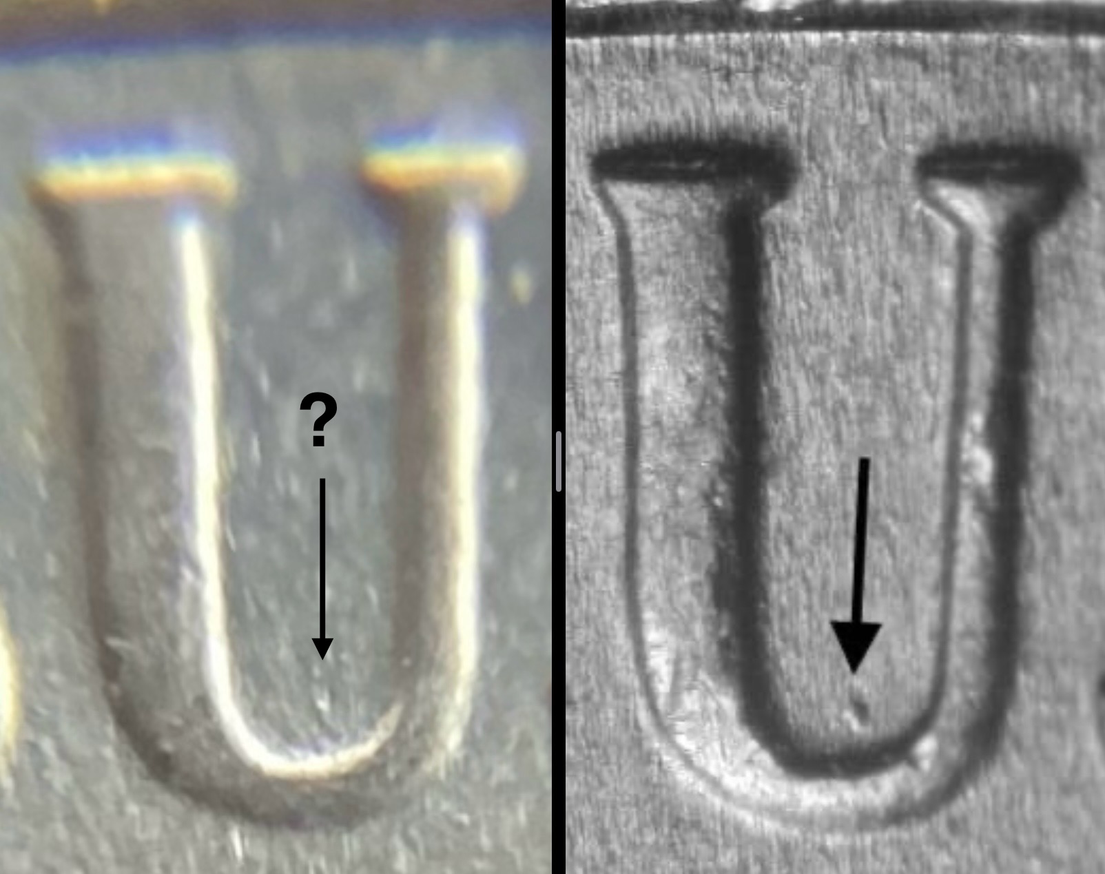 2019-P-Jefferson-Nickel-WDDR-037.
