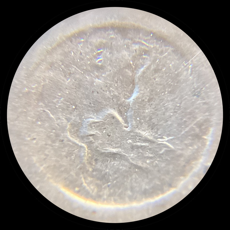 1972-Eisenhower-Dollar,-Type-2?