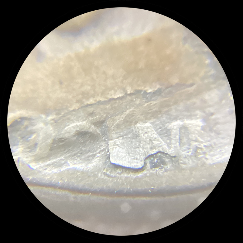 Worn-1944-P-Jefferson-War-Nickel-With-Peeling-Laminations.
