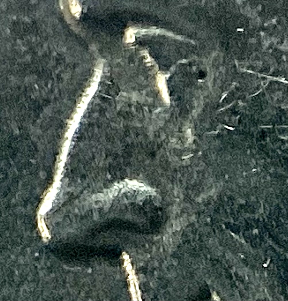 Strange-Pick-Attempt:-1943-P-Nickel,-Vanishing-Double-Eye?