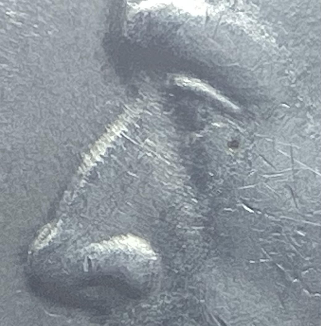Strange-Pick-Attempt:-1943-P-Nickel,-Vanishing-Double-Eye?