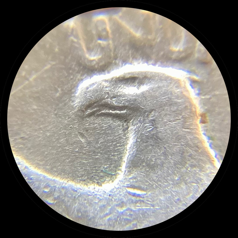 1941-Washington-Quarter,-Doubled-Beak-DDR-005-Stage-E,-Wwhr-001,-Circulated.