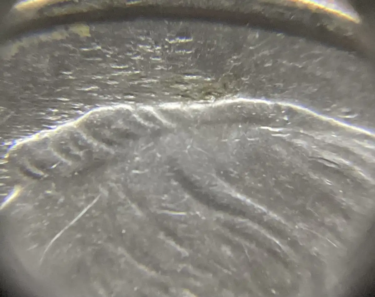 2018-P-Dime:-Field-Restricted-Struck-Through-Gritty-Grease.