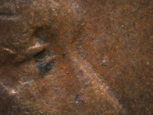 2-1944-Lincoln-Wheat-Cents-Double-Eyelids-Or-What?