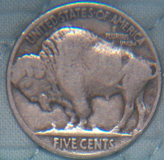 Wild-Buffalo-Now-Tamed