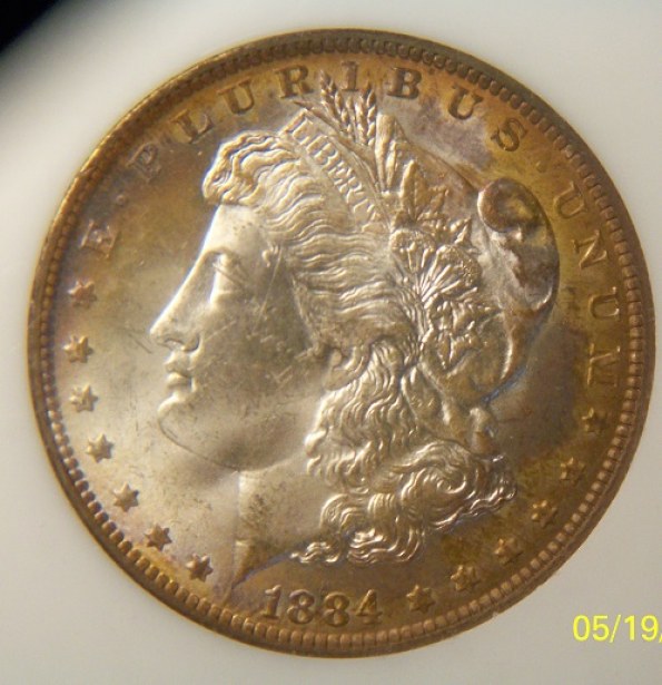 You-Vs.-PCI-1884-O-Morgan-Toner-Better-Pictures
