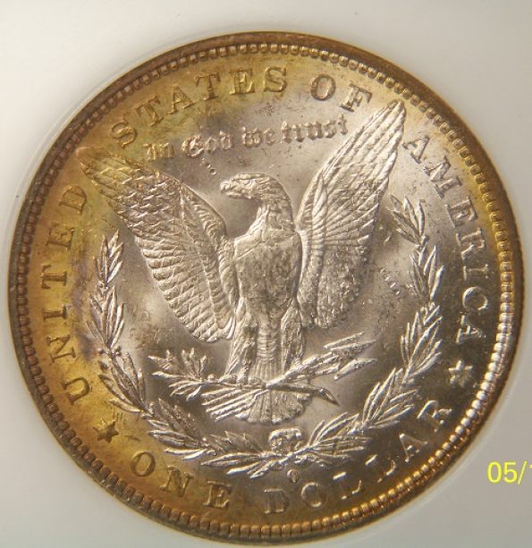 You-Vs.-PCI-1884-O-Morgan-Toner-Better-Pictures