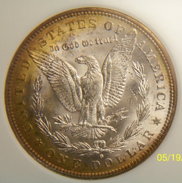 You-Vs.-PCI-1884-O-Morgan-Toner-Better-Pictures