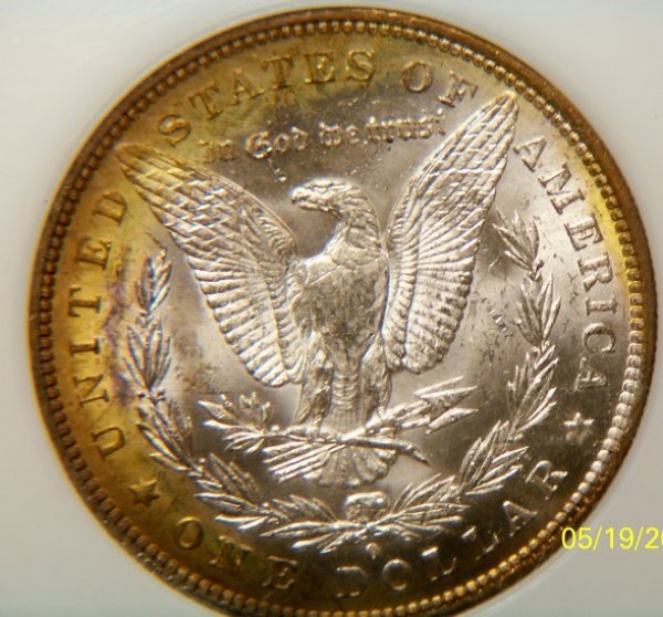 You-Vs.-PCI-1884-O-Morgan-Toner-Better-Pictures